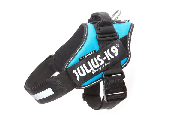 IDC® Powerharness  - Aquamarine - JULIUSK9® CANADA