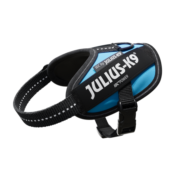 IDC® Powerharness  - Aquamarine - JULIUSK9® CANADA