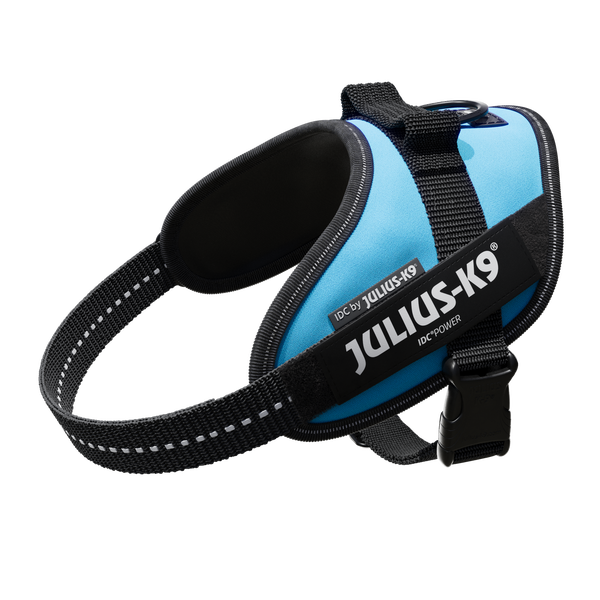 IDC® Powerharness  - Aquamarine - JULIUSK9® CANADA