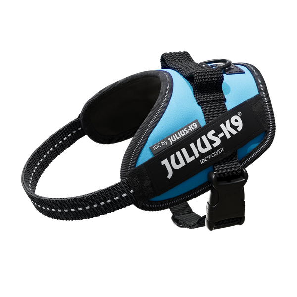 IDC® Powerharness  - Aquamarine - JULIUSK9® CANADA