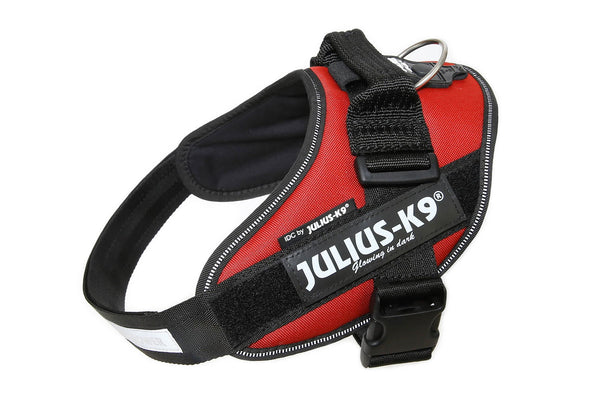 IDC® Powerharness - Burgundy - JULIUSK9® CANADA