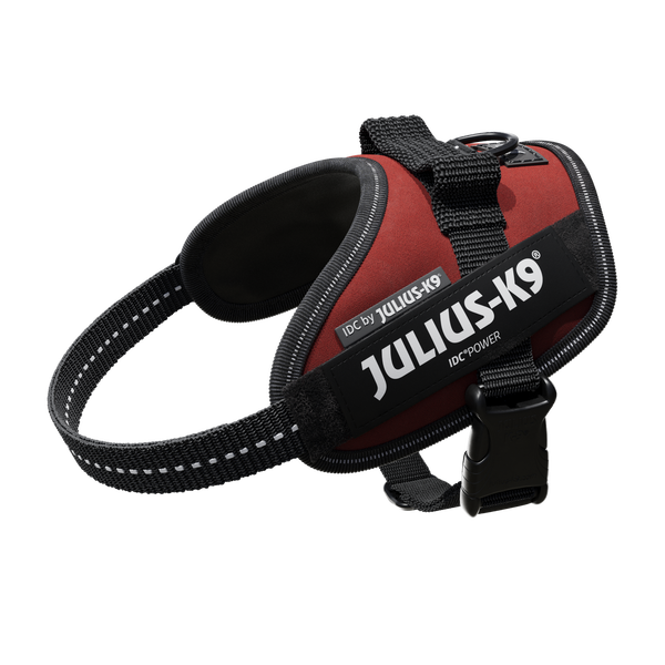 IDC® Powerharness - Burgundy - JULIUSK9® CANADA