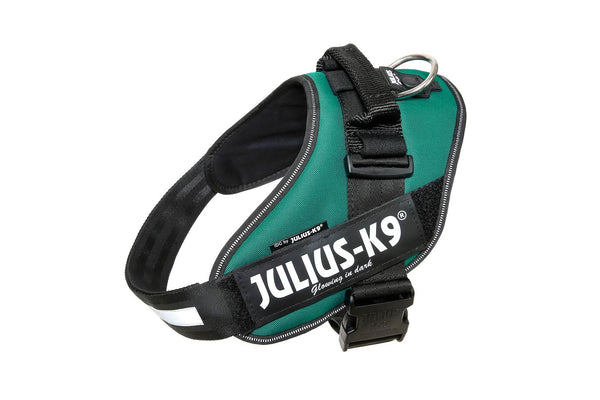 IDC® Powerharness - Dark Green - JULIUSK9® CANADA