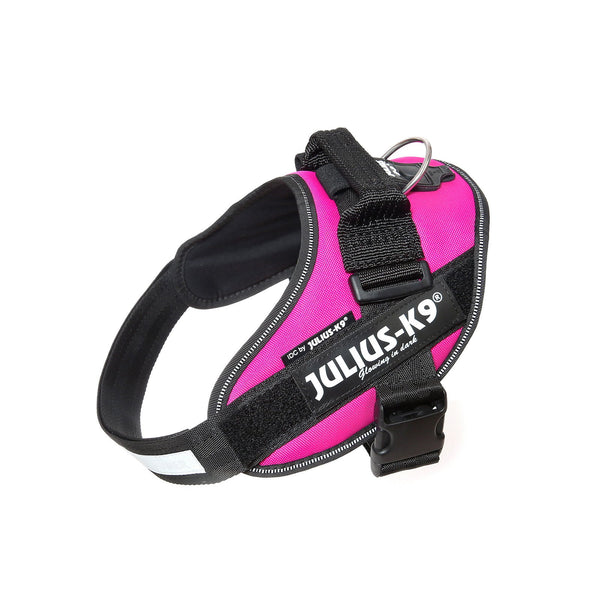 IDC® Powerharness - Dark Pink - JULIUSK9® CANADA