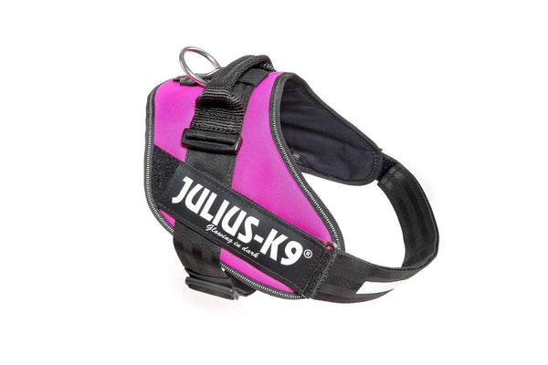 IDC® Powerharness - Dark Pink - JULIUSK9® CANADA