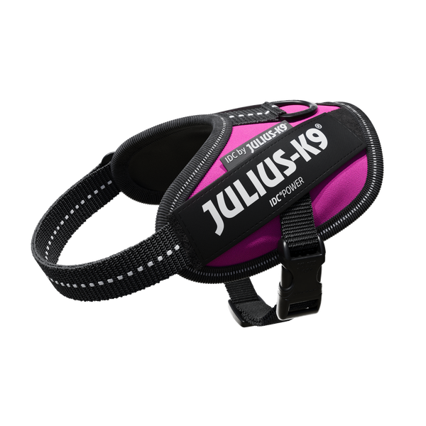 IDC® Powerharness - Dark Pink - JULIUSK9® CANADA