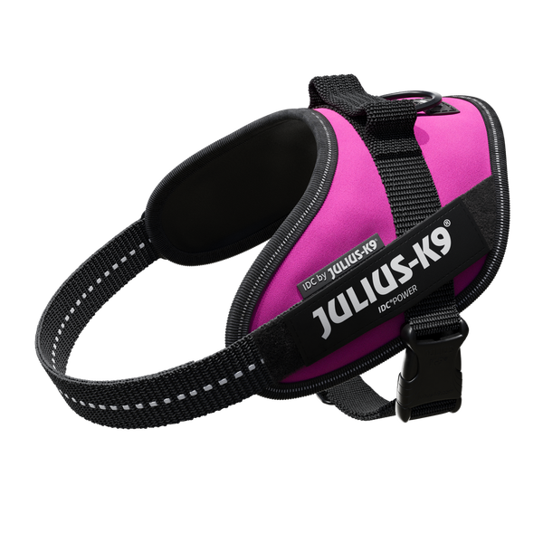 IDC® Powerharness - Dark Pink - JULIUSK9® CANADA