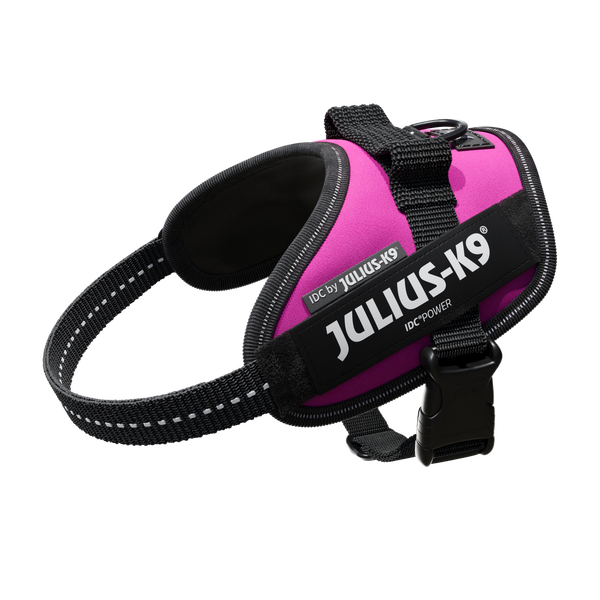 IDC® Powerharness - Dark Pink - JULIUSK9® CANADA