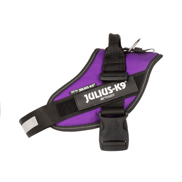 IDC® Powerharness - Dark Purple - JULIUSK9® CANADA