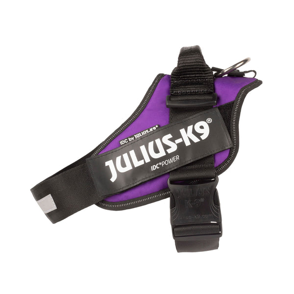 IDC® Powerharness - Dark Purple - JULIUSK9® CANADA