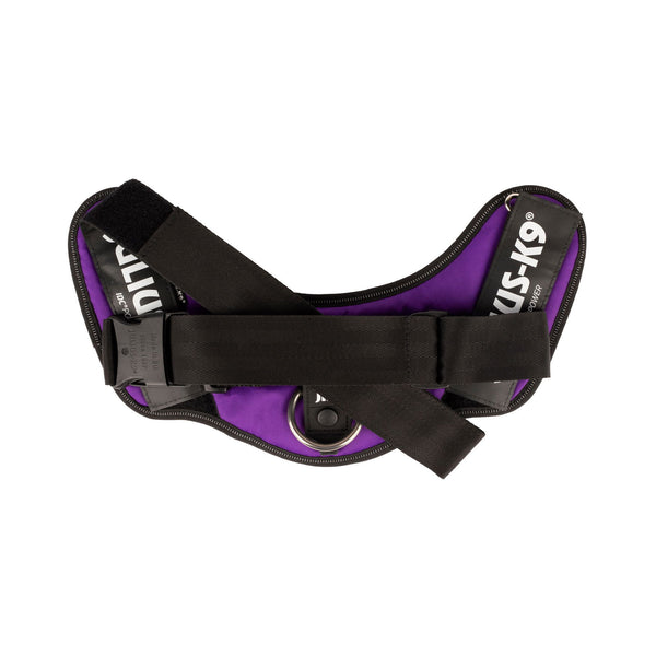 IDC® Powerharness - Dark Purple - JULIUSK9® CANADA