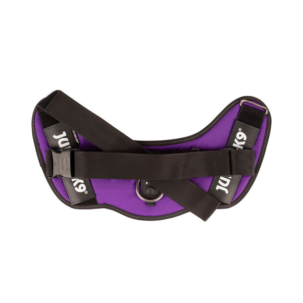 IDC® Powerharness - Dark Purple - JULIUSK9® CANADA