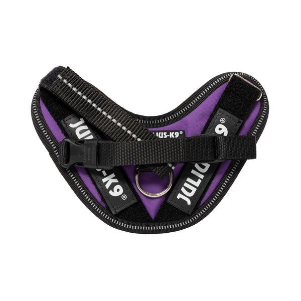 IDC® Powerharness - Dark Purple - JULIUSK9® CANADA