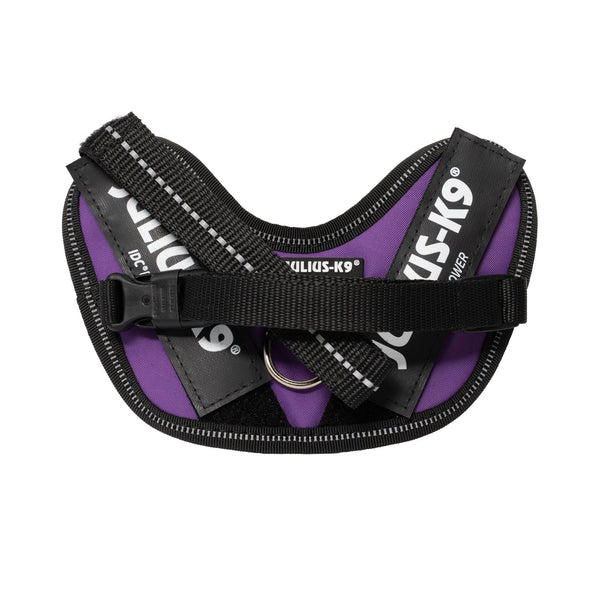 IDC® Powerharness - Dark Purple - JULIUSK9® CANADA