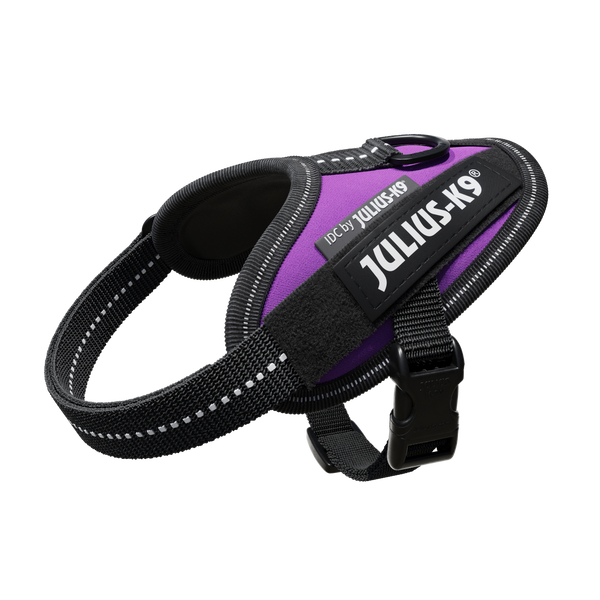 IDC® Powerharness - Dark Purple - JULIUSK9® CANADA