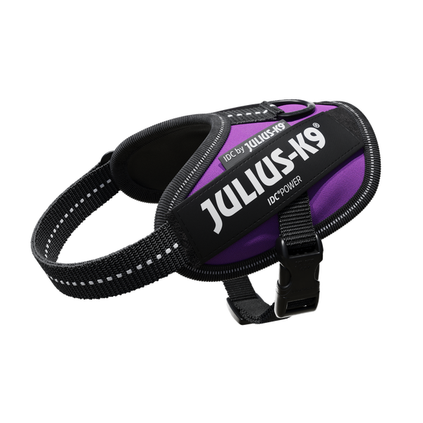 IDC® Powerharness - Dark Purple - JULIUSK9® CANADA