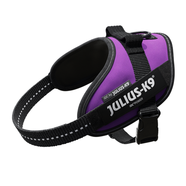 IDC® Powerharness - Dark Purple - JULIUSK9® CANADA