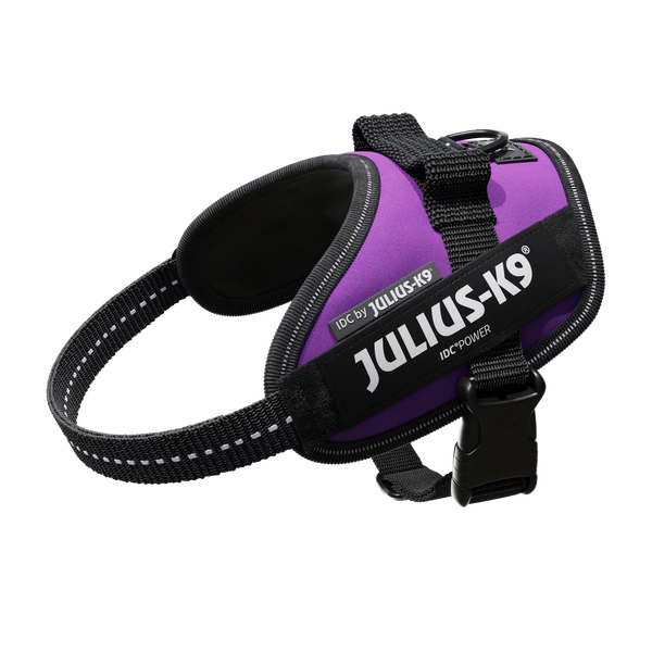 IDC® Powerharness - Dark Purple - JULIUSK9® CANADA