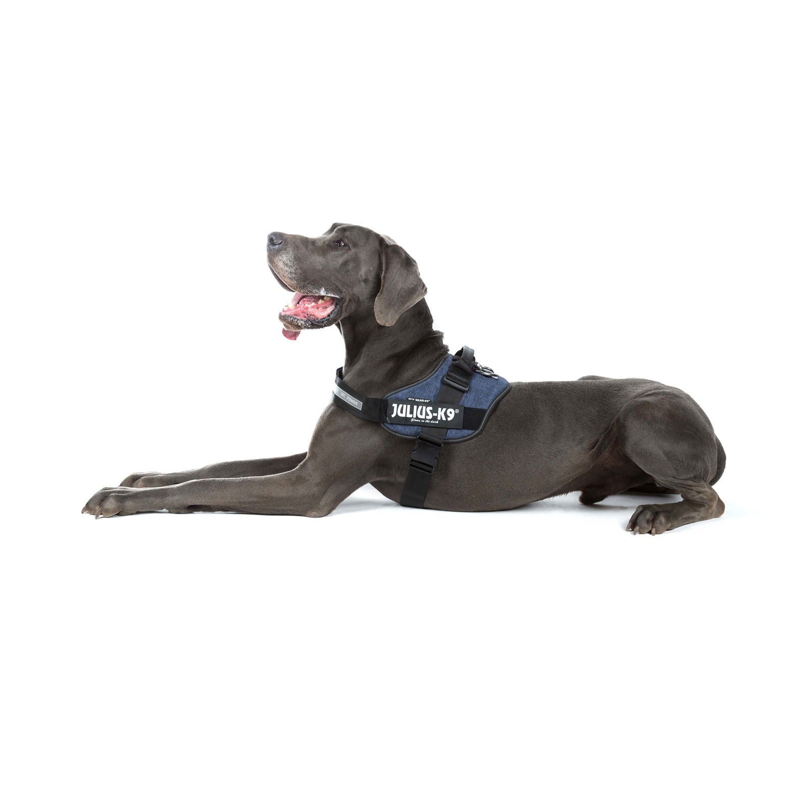 Side Bags Julius K9 Harness Fitting IDC® Powerharness Denim