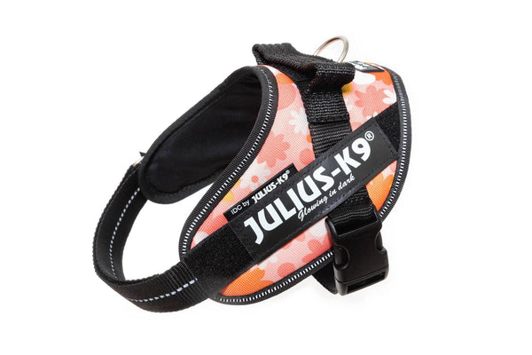 IDC® Powerharness - Flowers Pattern - JULIUSK9® CANADA