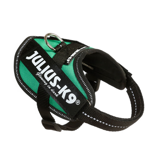 IDC® Powerharness - Grass-Green - JULIUSK9® CANADA