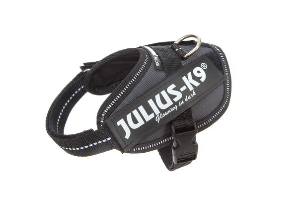 IDC® Powerharness - Grey - JULIUSK9® CANADA