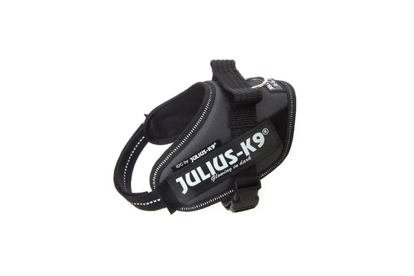 IDC® Powerharness - Grey - JULIUSK9® CANADA