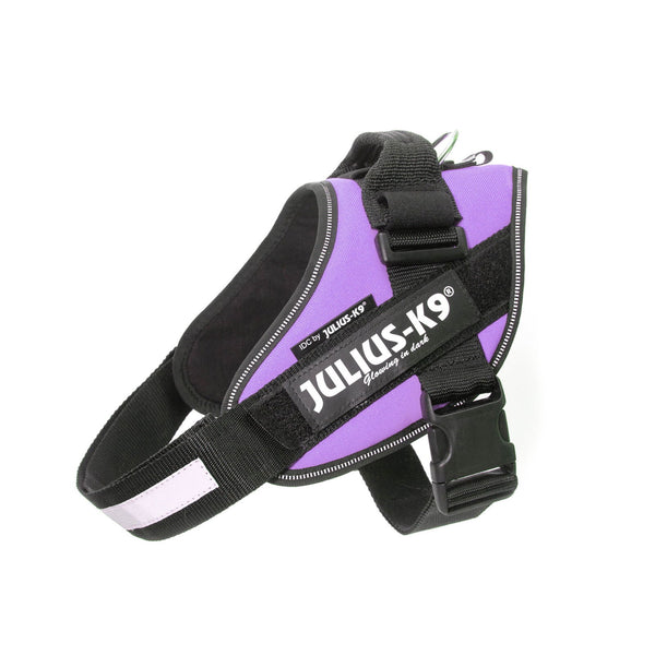 IDC® Powerharness - Purple - JULIUSK9® CANADA