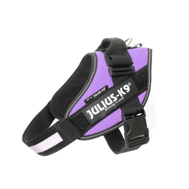 Purple dog harness best sale