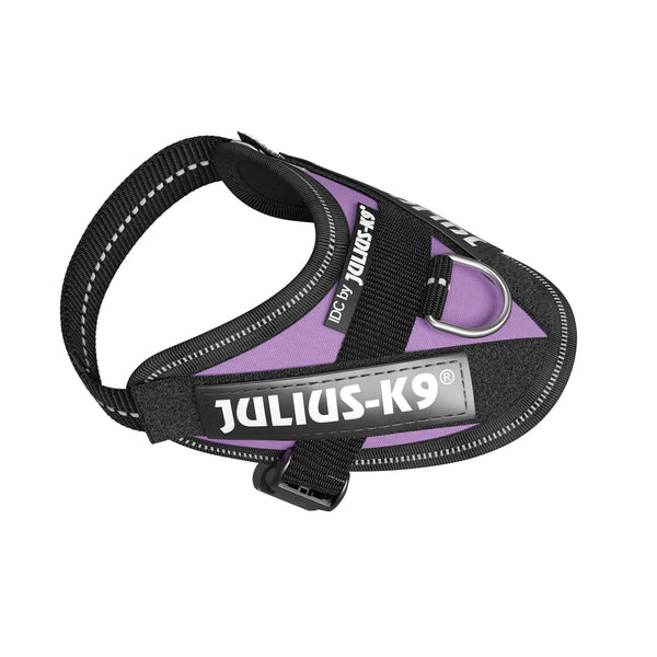 IDC® Powerharness - Purple - JULIUSK9® CANADA