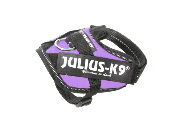 IDC® Powerharness - Purple - JULIUSK9® CANADA