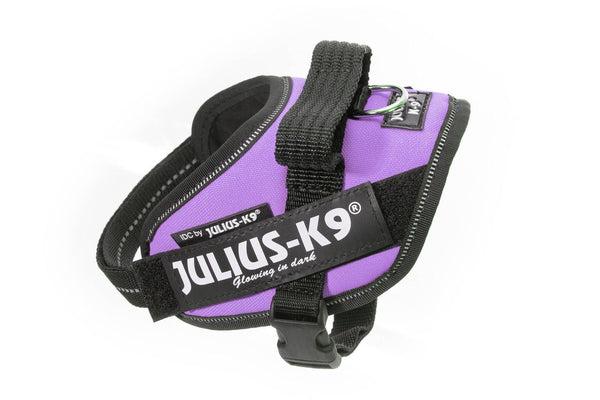 IDC® Powerharness - Purple - JULIUSK9® CANADA