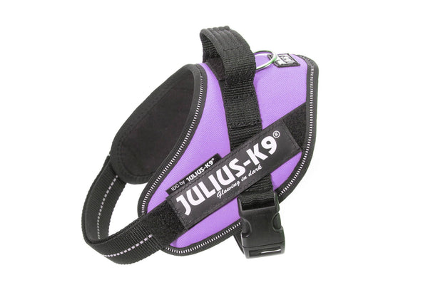 IDC® Powerharness - Purple - JULIUSK9® CANADA