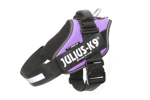 IDC® Powerharness - Purple - JULIUSK9® CANADA