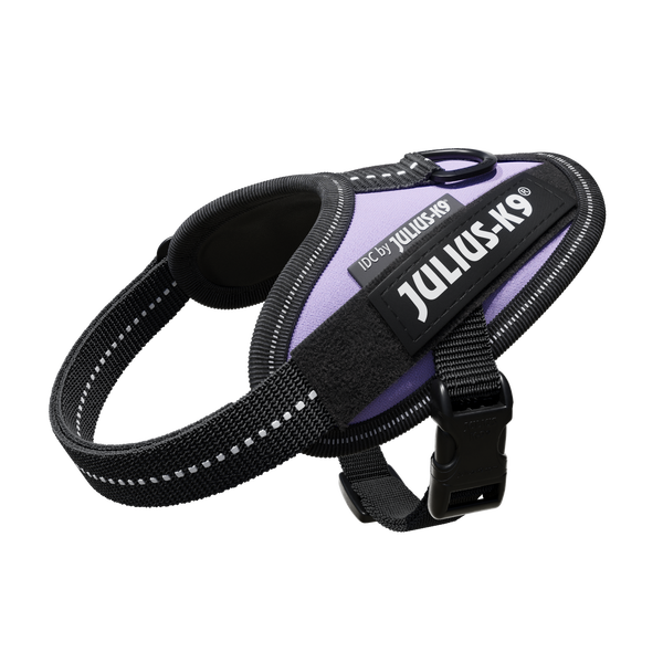 IDC® Powerharness - Purple - JULIUSK9® CANADA