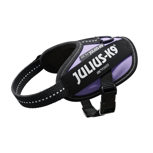 IDC® Powerharness - Purple - JULIUSK9® CANADA