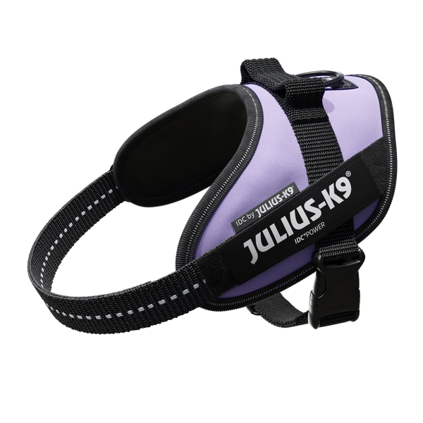 IDC® Powerharness - Purple - JULIUSK9® CANADA