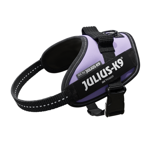 IDC® Powerharness - Purple - JULIUSK9® CANADA