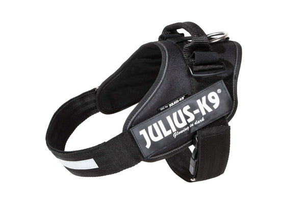 IDC® Powerharness with K9 Security Lock - JULIUSK9® CANADA