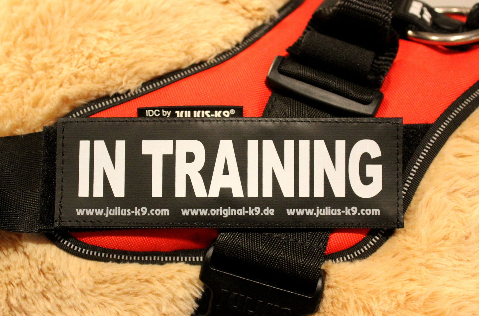 "In Training" Large / Small Harness Labels - Set of 2 Labels / patches - JULIUSK9® CANADA
