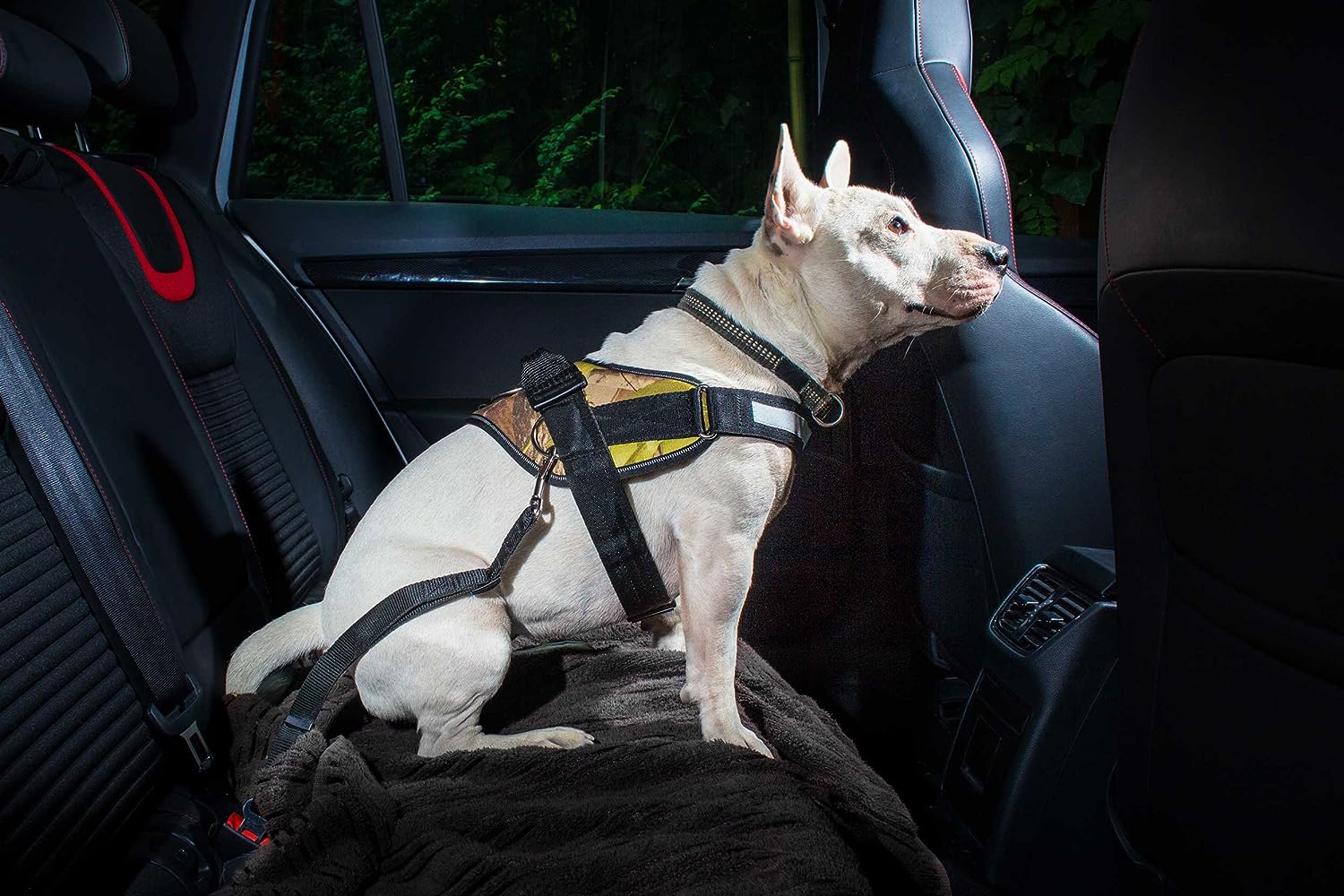 Julius-K9 Seat Belt Connector Dogs Up To 55 Lbs/25 Kg Safety Seat Belt - JULIUSK9® CANADA