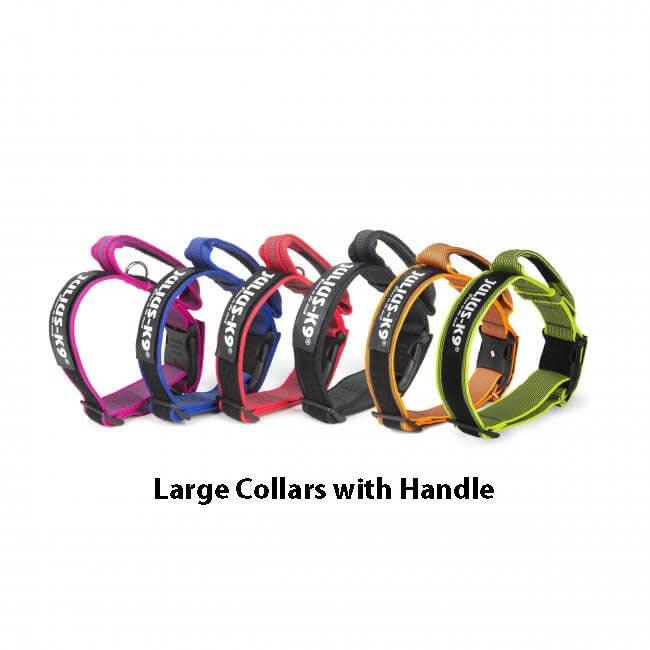 Large Collar with handle and safety lock- 50mm Thick - JULIUSK9® CANADA