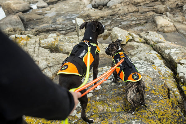 LifeJacket - Multifunctional Dog Vest - JULIUSK9® CANADA