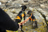 files/LifeJacket_-_Multifunctional_Dog_Vest_-_JULIUSK9_CANADA-5954237.jpg