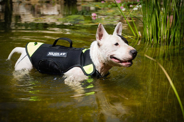 LifeJacket - Multifunctional Dog Vest - JULIUSK9® CANADA