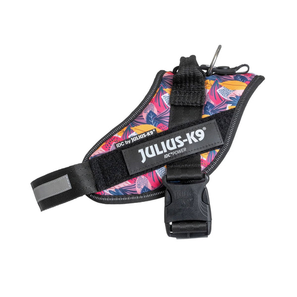 Limited Edition - Leaf Harness - JULIUSK9® CANADA