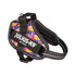 Limited Edition - Leaf Harness - JULIUSK9® CANADA