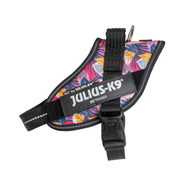 Limited Edition - Leaf Harness - JULIUSK9® CANADA