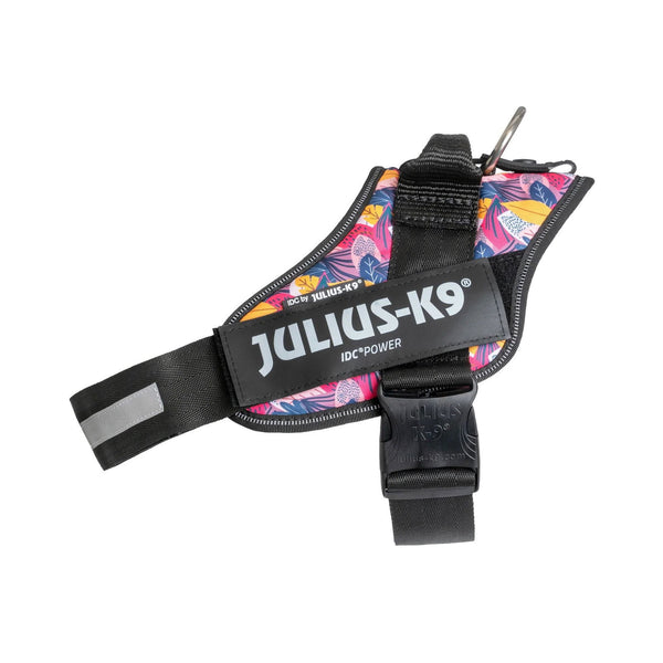 Limited Edition - Leaf Harness - JULIUSK9® CANADA