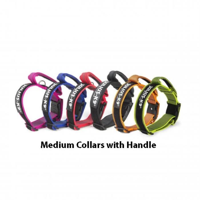 Medium Collar with handle and safety lock - 40mm Thick - JULIUSK9® CANADA